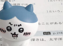 hachiware ;0 hachiware studying